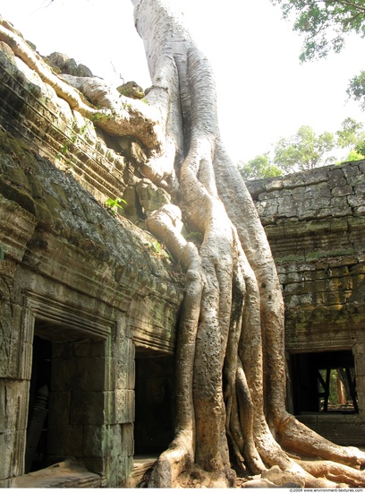 Cambodia