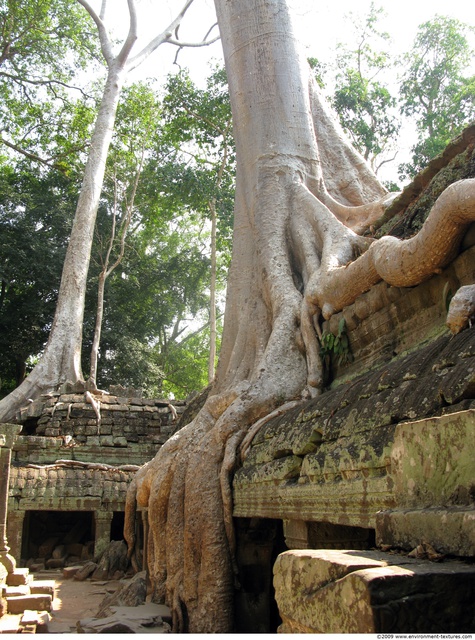 Cambodia