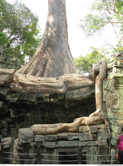 Cambodia