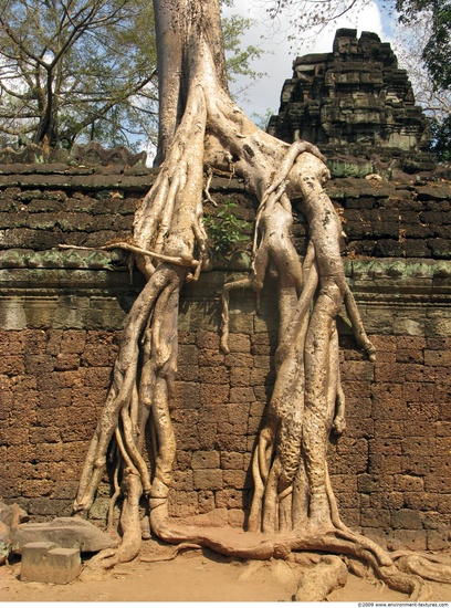 Cambodia