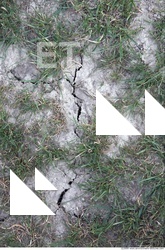 Cracked Soil