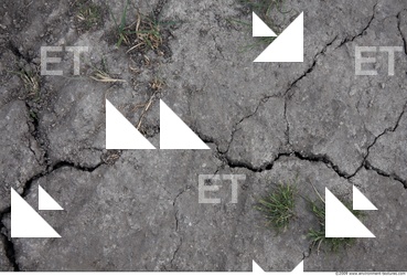 Cracked Soil