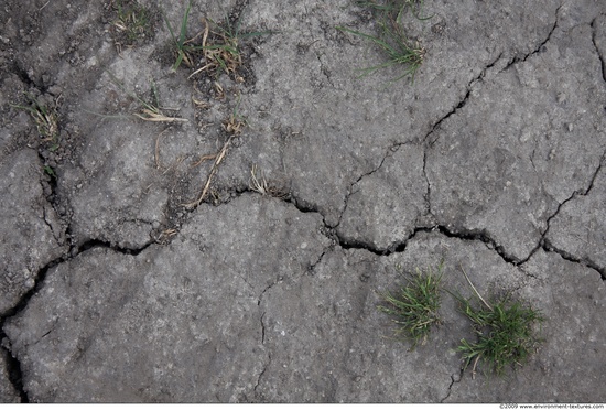 Cracked Soil