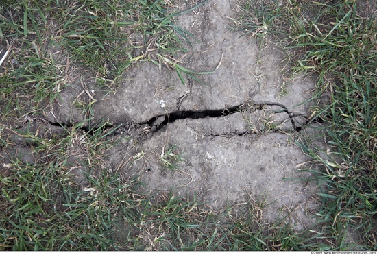 Cracked Soil