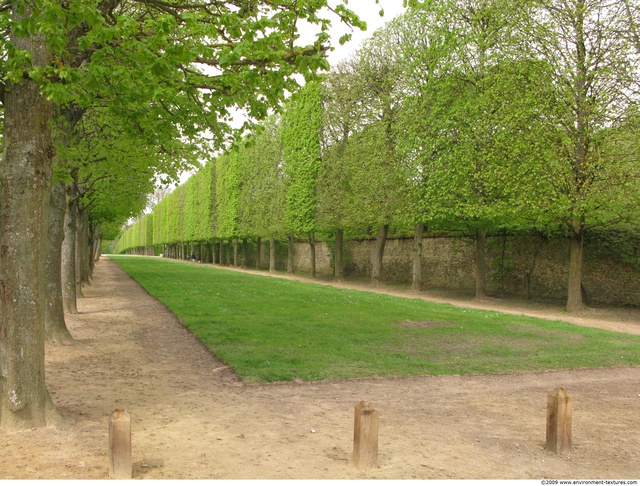 Background Gardens