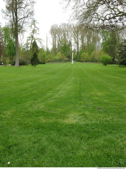 Background Gardens