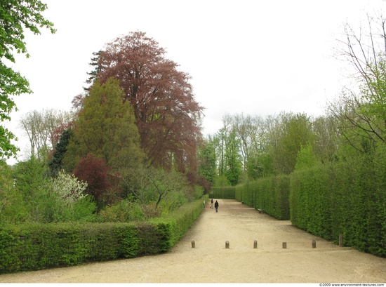 Background Gardens