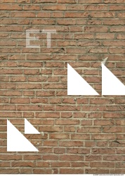 Wall Bricks Damaged