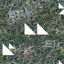 Seamless Grass Frozen