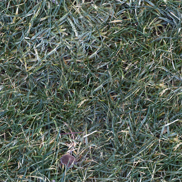 Seamless Grass Frozen