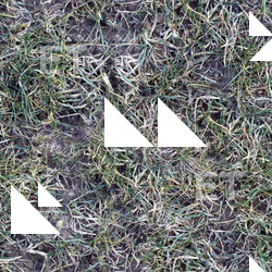 Seamless Grass Frozen