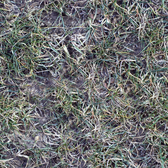 Seamless Grass Frozen