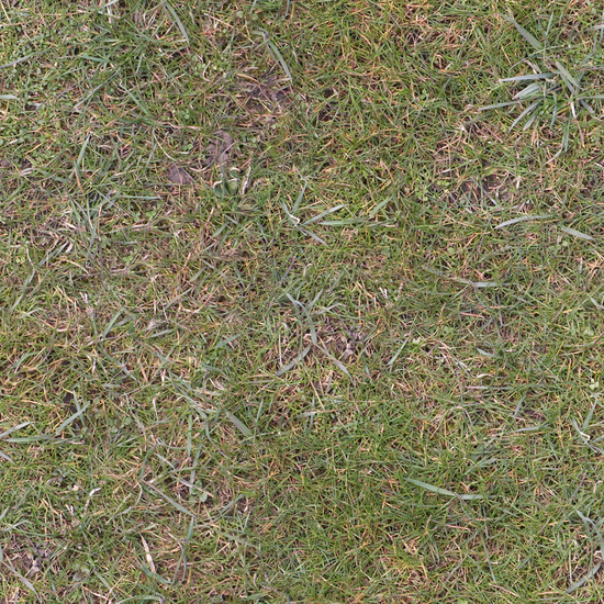 Seamless Grass