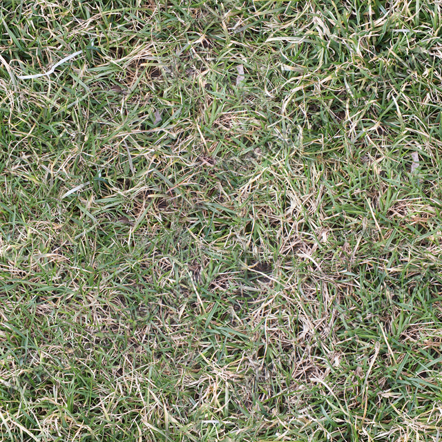 Seamless Grass