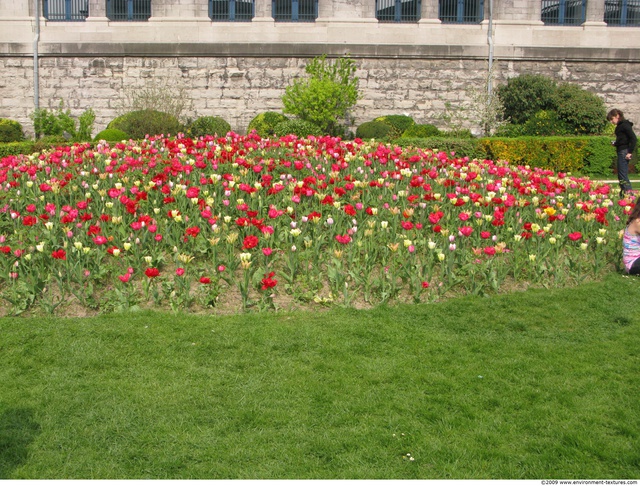 Background Gardens