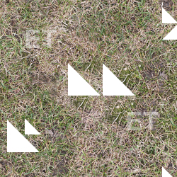 Seamless Grass Dead