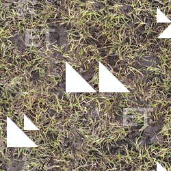 Seamless Grass Dead
