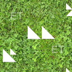 Seamless Groundplants