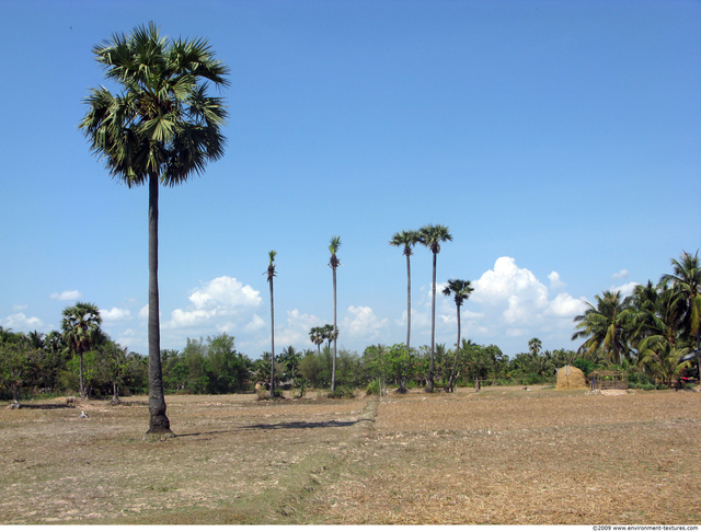 Cambodia