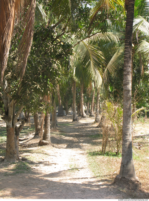 Cambodia