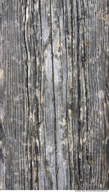 Bare Wood