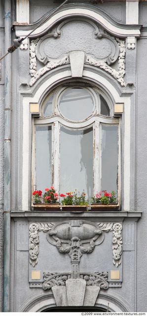 Ornate Windows