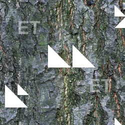 Seamless Bark 0001