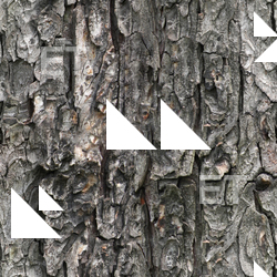 Seamless Tree Bark