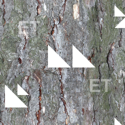 Seamless Tree Bark