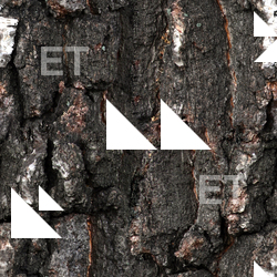 Seamless Tree Bark