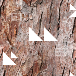 Seamless Tree Bark