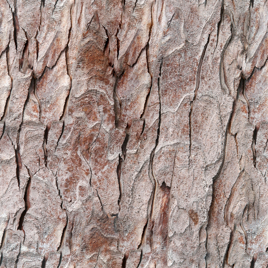 Seamless Tree Bark