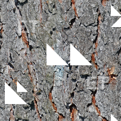Seamless Tree Bark