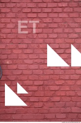 Wall Bricks Painted