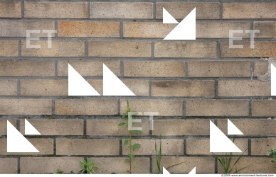 Wall Bricks Damaged