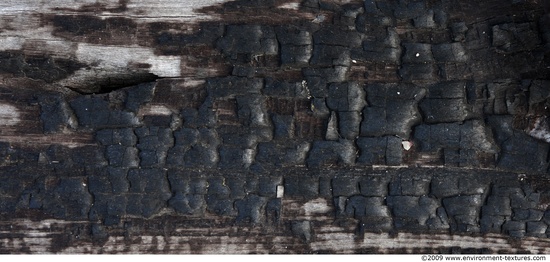 Burned Wood