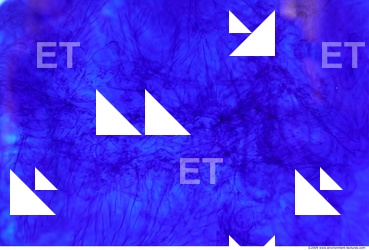 Splatter Difussion 0002