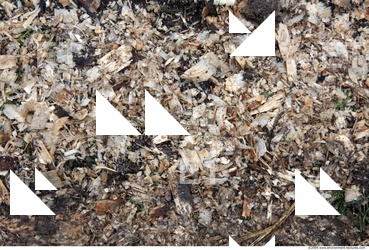 Wood Chips