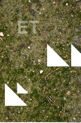 Ground Various 0003
