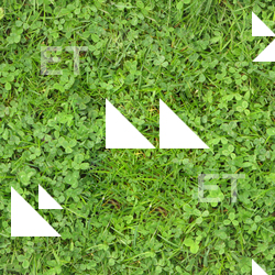 Seamless Groundplants