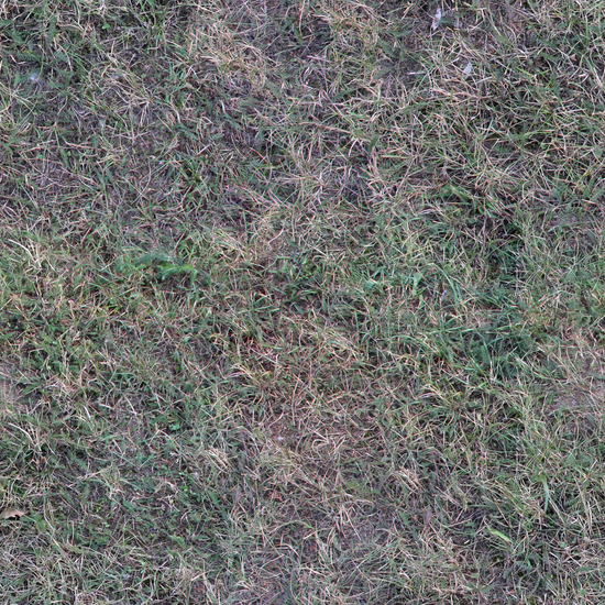 Seamless Grass