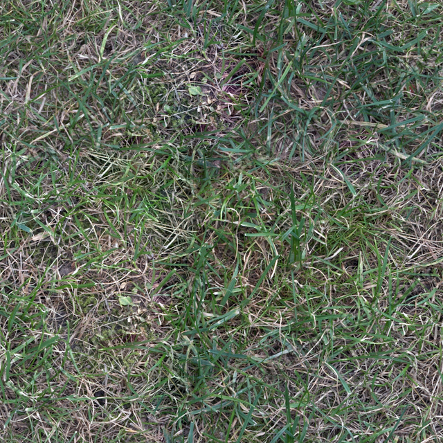 Seamless Grass