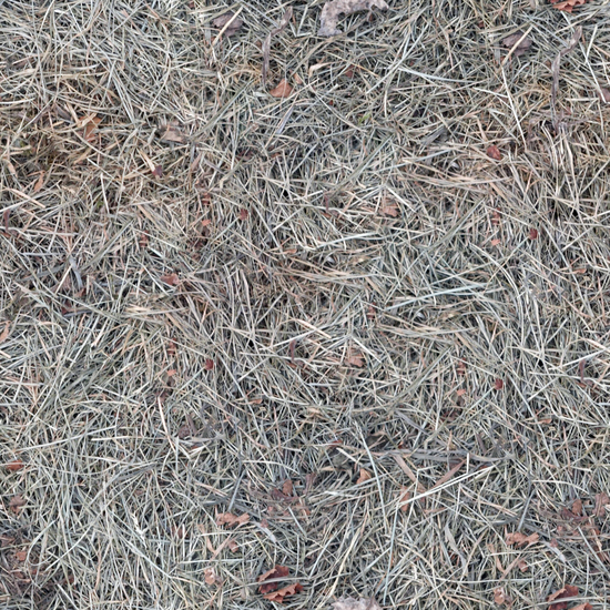 Seamless Grass Dead