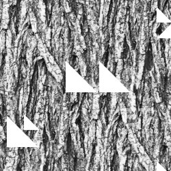 Seamless Tree Bark