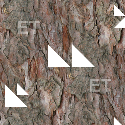 Seamless Tree Bark