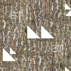 Seamless Tree Bark