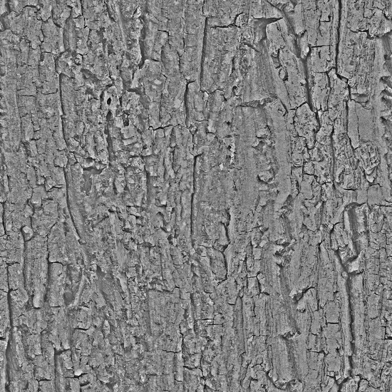 Seamless Tree Bark