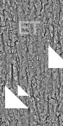 Seamless Bark 0002