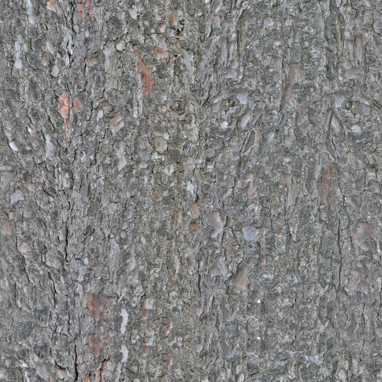 Seamless Tree Bark