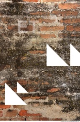 Wall Bricks Plastered